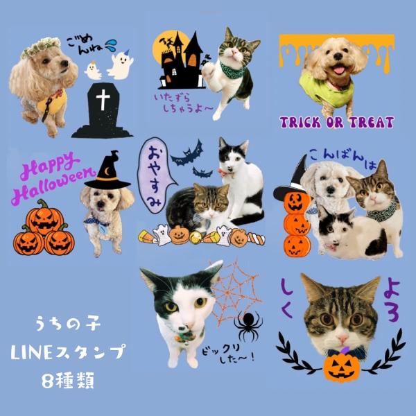 ハロウィンバージョンです！！！【うちの子シリーズ】新作！！オリジナルLINEスタンプをおつくり致します。PETの写真のLINEスタンプで作りませんか？うれしくてかわいくてみんなに見せたくなるスタンプです。<br>期間限定・・・う...