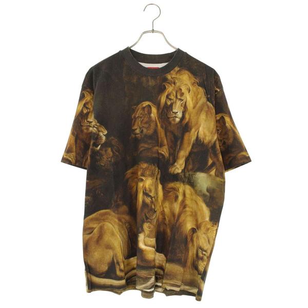 Supreme（シュプリーム） Tシャツ サイズ:M 22AW Lions Den S S Top 総
