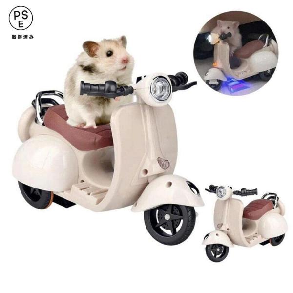 ハムスター用品 61u-6tCwIXL.jpg_BO30,255,255,