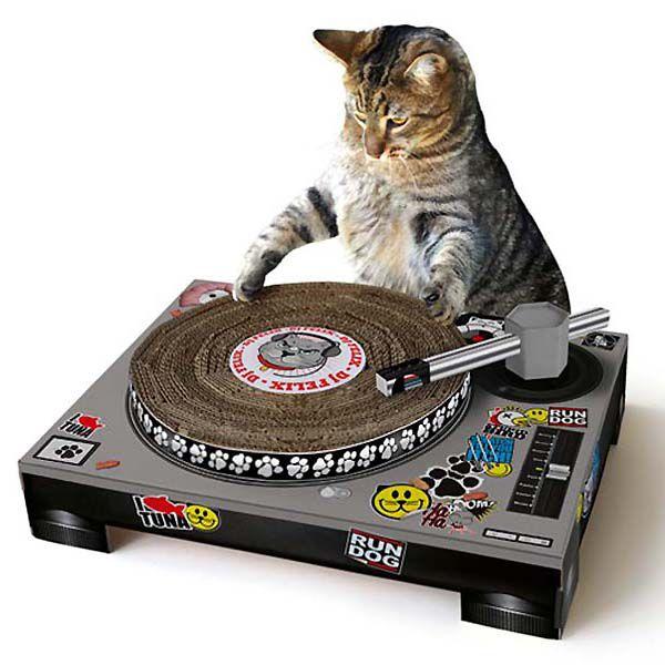 Suck UK Lbg XNb` Cat Scratch DJ lRp߂Ƃ