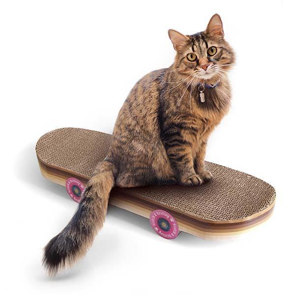 Suck UKyTbNUKz CAT SCRATCH SKATEBOARD Lbg XNb` XP[g{[h ܂Ƃ