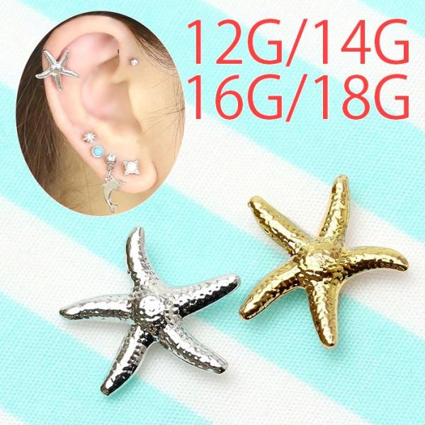 全品送料無料 キャッチ ボディピアス 12g 14g 16g 18g 軟骨ピアス ヒトデ 海 片耳用 ピアス パーツ カスタマイズ かわいい Ori 0013 C ボディピアス 軟骨ピアス 凛rin 通販 Yahoo ショッピング