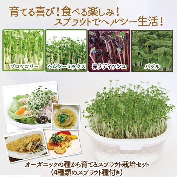 オーガニックの種から育てるスプラウト栽培セット 4種類のスプラウト種付き 014 003 4042 いぶりん商店 通販 Yahoo ショッピング