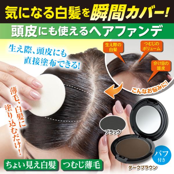 白髪隠し 薄毛も隠せる　リタッチヘアファンデ