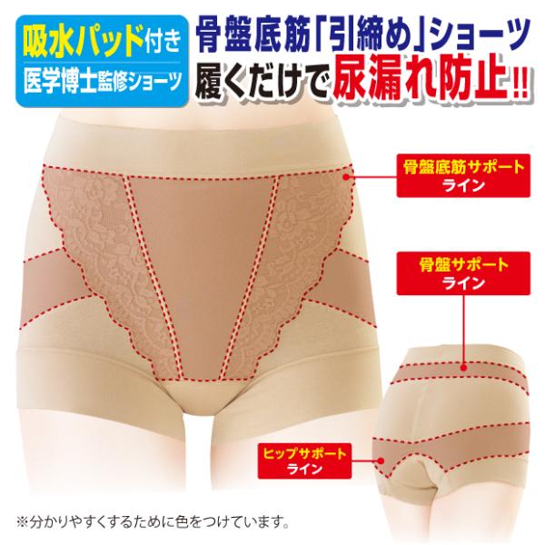 吸水パッド付ショーツ 失禁 尿漏れパンツ モレピタ！骨盤底筋ショーツ
