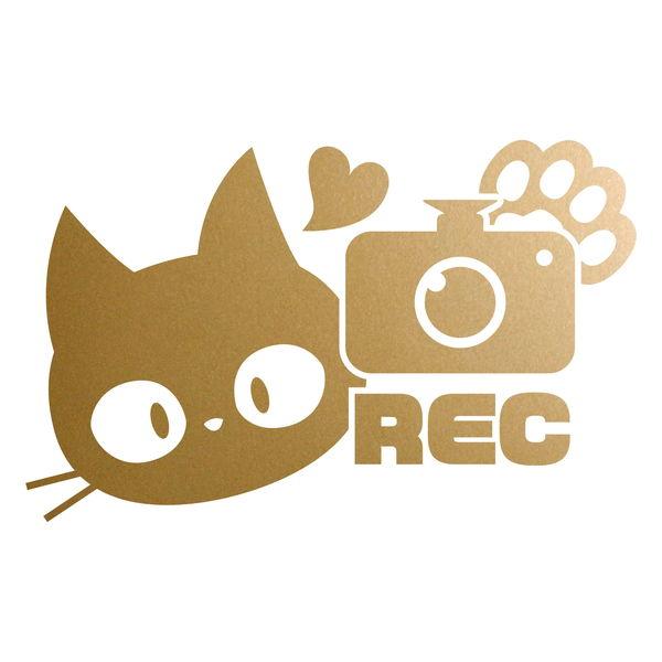 REC 猫 ドラレコ 防犯 あおり防止 カッティングステッカー 色・サイズ 