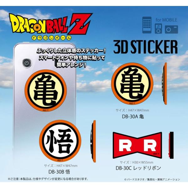 rinzo_4536219933410_1