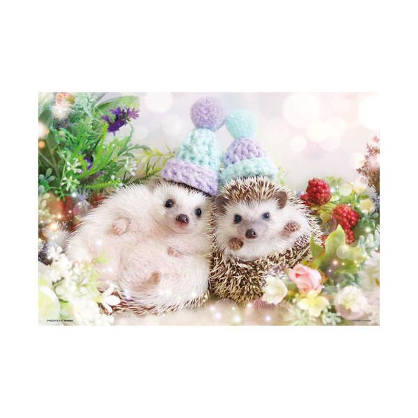 WO\[pY pY ƂȂ WO\[pY300s[X P33-182