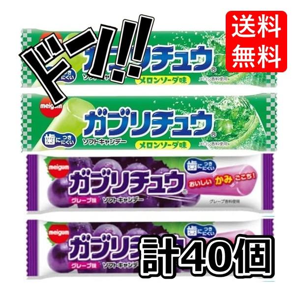 「商品情報」「主な仕様」【セット内容】ガブリチュウ2種40本（メロンソーダ味20本、グレープ味20本）【ガブリチュウとは】ガブリチュウはバータイプの噛んで食べられるソフトキャンデーです。「がぶり！」と食べられるボリューミーなサイズと独特な食...