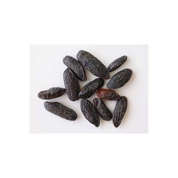 cottaトンカビーンズ10g懐かしの駄菓子駄菓子お菓子送料無料あすつくトンカビーンとんかびーんとんかびーんずトンガビーンズとんがびーんずトンガビーンとんがびーんコッタ※免責事項※　商品画像はイメージとなりまして、パッケージ変更・内容量の規...