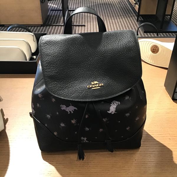 コーチ ディズニー アウトレット 商品 みんな探してる人気モノ コーチ ディズニー アウトレット 商品 レディースファッション