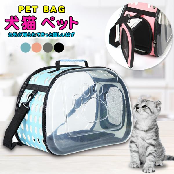 SiPoint10{!ő{50% ybgL[obO g  킢 y t P[W [