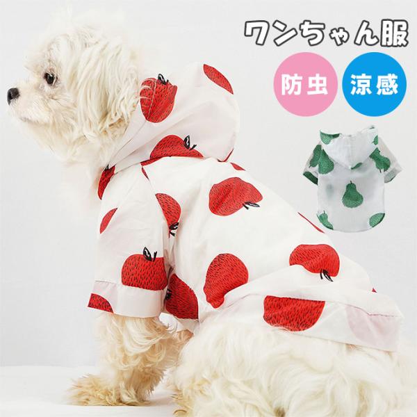 SiPoint10{!ő{50%  h  t  ^ N[ t[c  u₩   [