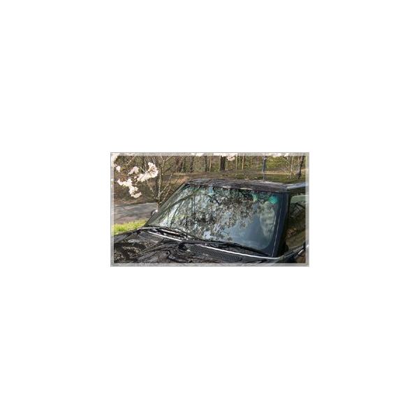 �J�[�V�����v�[ �A ���� �Ɩ��p �ŋ� ��� �J�[���b�N�X �R�[�e�B���O �R�[�e�B���O�{�H�ԃ����e ���C ���s�J�y �R�[�e�B���O�J�[�V�����v�[ 2L�z ���i�摜5