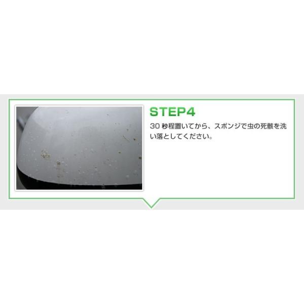水垢取り洗剤 水垢取り 車 カーシャンプー 撥水 洗車 カーコーティング剤 最強 虫除去 虫分解 インセクトリムーバー 鳥糞 リピカ 虫取りクリーナー 70ml Buyee 日本代购平台 产品购物网站大全 Buyee一站式代购 Bot Online