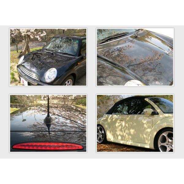 ガラスコーティング剤 最強 業務用 コーティング剤 車 カーコーティング剤 カーワックス 艶 油膜 水垢 親水 撥水 滑水 疎水 リピカ Thpコート 0ml Buyee Buyee 日本の通販商品 オークションの代理入札 代理購入