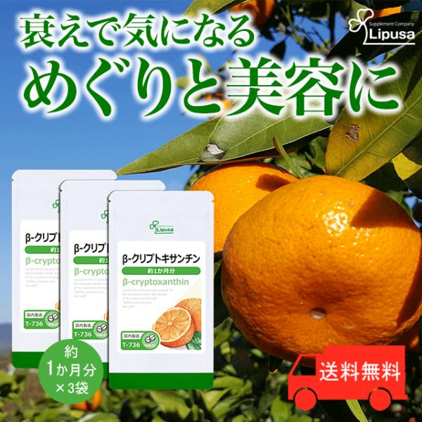 【36%OFF】リプサ 菱の実粒 約6ヶ月分 サプリメント 菱の実粒 約1か月分 T-874／サプリメント専門店 Lipusa -リプサ-