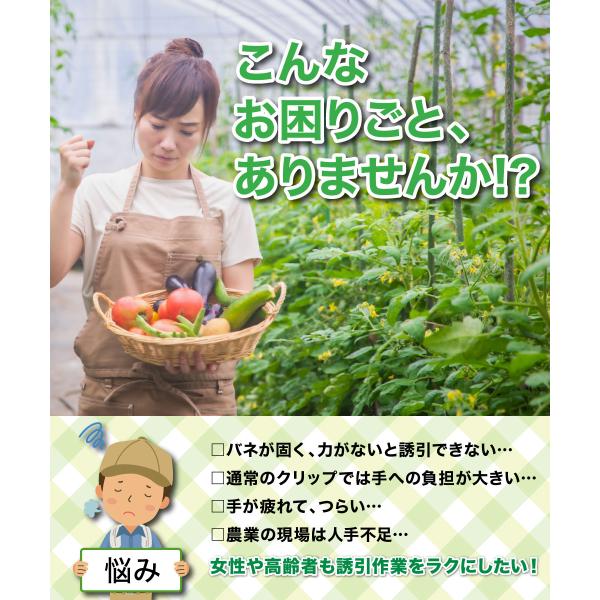 �U���N���b�v ��22���y 20��/���{�_�ƐV���f��/RIRAI �z ���|�N���b�v �K�[�f�j���O �U�� ���� ���{�� �� ���i�摜2