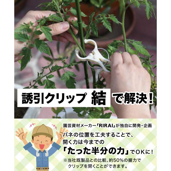 �U���N���b�v ��22���y 20��/���{�_�ƐV���f��/RIRAI �z ���|�N���b�v �K�[�f�j���O �U�� ���� ���{�� �� ���i�摜3