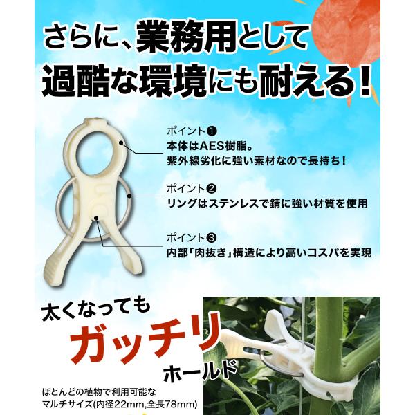 �U���N���b�v ��22���y 20��/���{�_�ƐV���f��/RIRAI �z ���|�N���b�v �K�[�f�j���O �U�� ���� ���{�� �� ���i�摜4