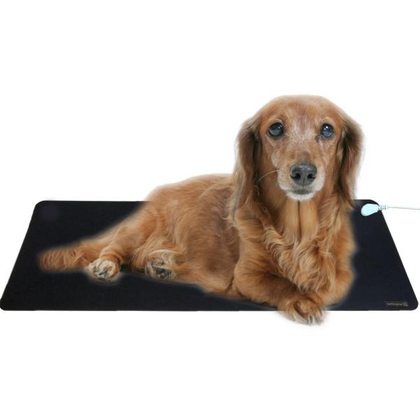 Earthiness Pet Mat アーシングマット (ラバータイプ) 68cm×25cm ペット用