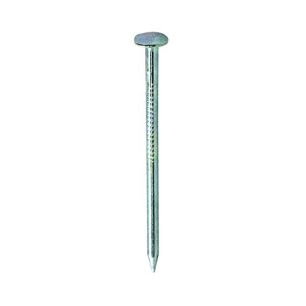 ダイドーハント (DAIDOHANT) 面木釘（線径ｄ）１．２４×（長さＬ）２２ｍｍ ５００本 10173526