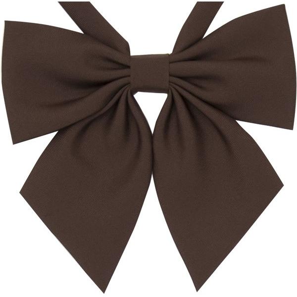 RSR-103-28 モカピクシー 〜無地ブラウン（マット）リボン : 制服通販