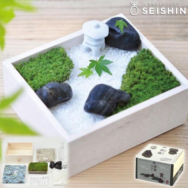 商品詳細苔盆 苔にふれて、石を見立て、砂を敷いて…箱の中やお盆の上に小さな風景を作って楽しむ”盆景”は日本で古くから趣味として親しまれている芸術文化のひとつです。本物の苔(スナゴケ)と化粧砂、黒石などの材料のほか陶器でできたミニ灯籠とミスト...