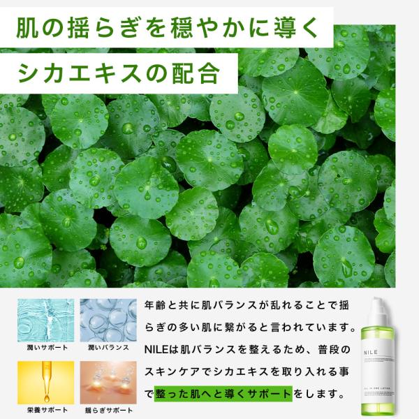 rise-one_rol140_3_d_20250923163813