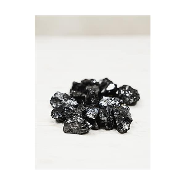 Shungite Club シュンガイトクラブ エリートシュンガイト除毒石 ロシア&gt;100g/0,22ポンド 水用 (1石あたり5〜10g)。