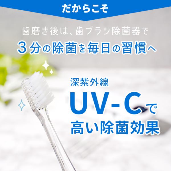 risecreation_c0206_6_d_20240328173137