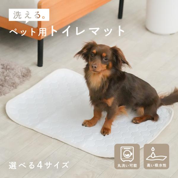 ペット用トイレマット 吸収性 100×70 risecreation_r0538-d