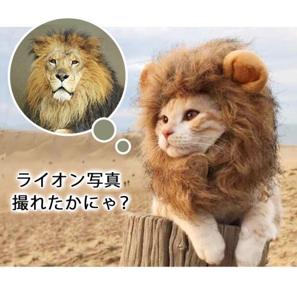 ねこ たてがみ ライオン ペット 帽子 かぶりもの グッズ コスプレ コスチューム アクセサリー Buyee Buyee 日本の通販商品 オークションの代理入札 代理購入