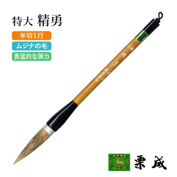 rissei_ae0304