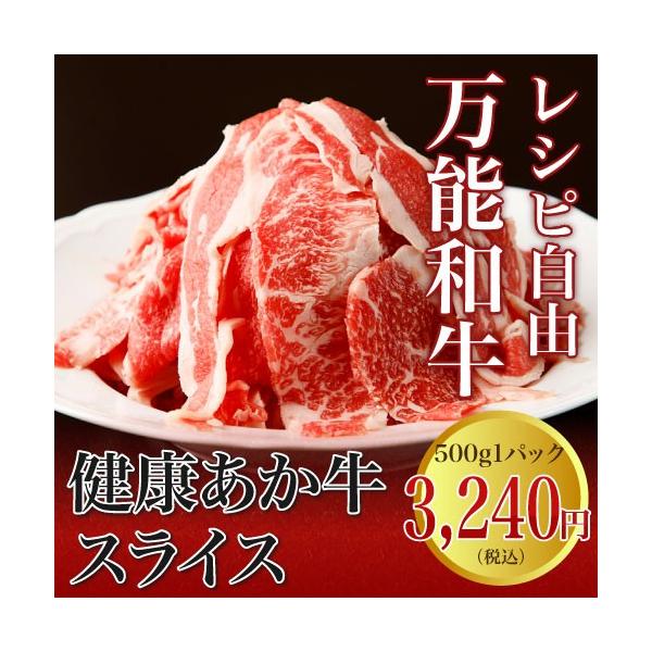 nh Mtg  Ă ԋ F{ Y a Ԃԓ 2~3lO 500g XCX  Ε 2025 ~Mtg