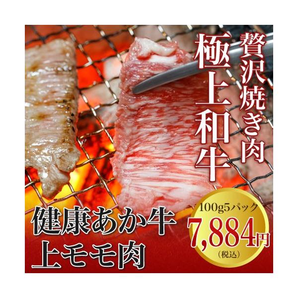 nh Mtg  F{ Y a ē ԋ 5lO 500g 100g 5pbN ヂ ܂Ƃ Hו ܎O j sy H H 