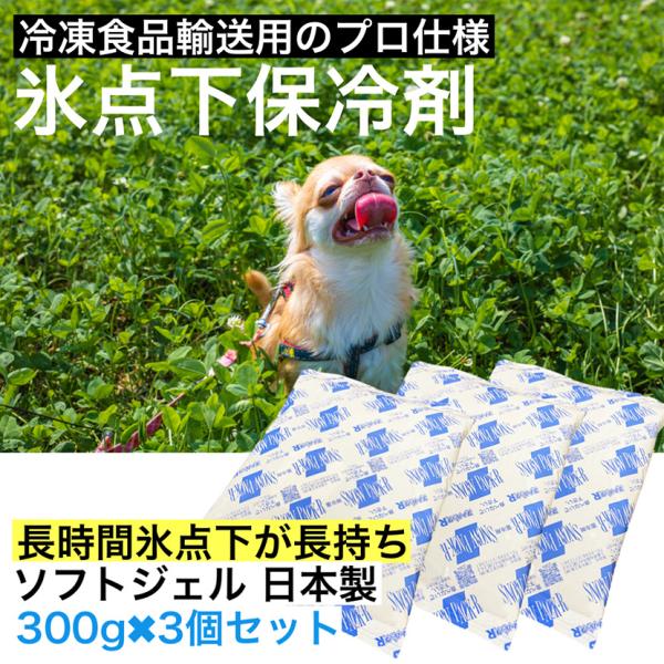 保冷剤 プロ仕様 最強 長持ち 長時間 氷点下 −15℃ 冷却剤 ジェル 15x20x厚み1.5cm 300g 3個セット 蓄冷剤 コンパクト ソフト 冷凍 アウトドア キャンプ 日本製