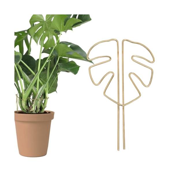 1. ゴールドの観葉植物支柱セット 1本入りのゴールドカラーの植物支柱をお届けします。日常的な使用に最適です2. 高品質な合金製 植物支柱は高品質な合金金属で作られており、頑丈で壊れにくく、屋外でも長期間使用できます。耐久性が高く、長く使用...