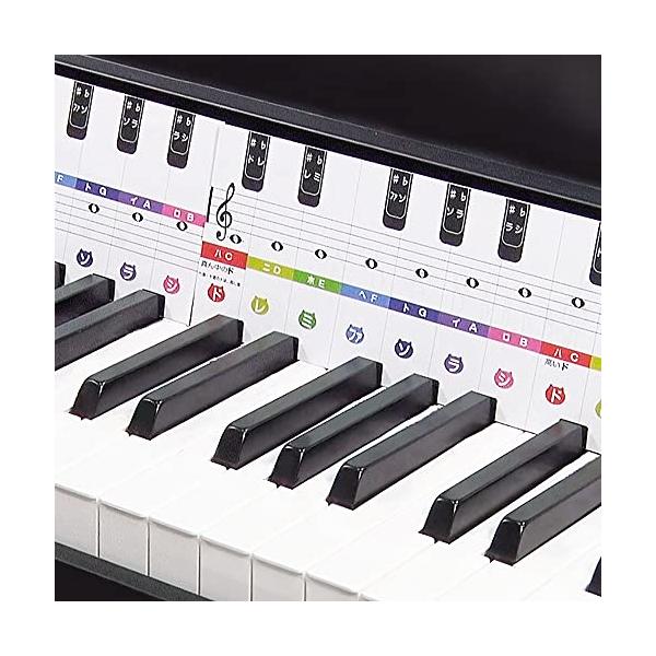 鍵盤カード 4オクターブ 29鍵盤 ピアノ/ト音 ヘ音 音楽 初心者 独学