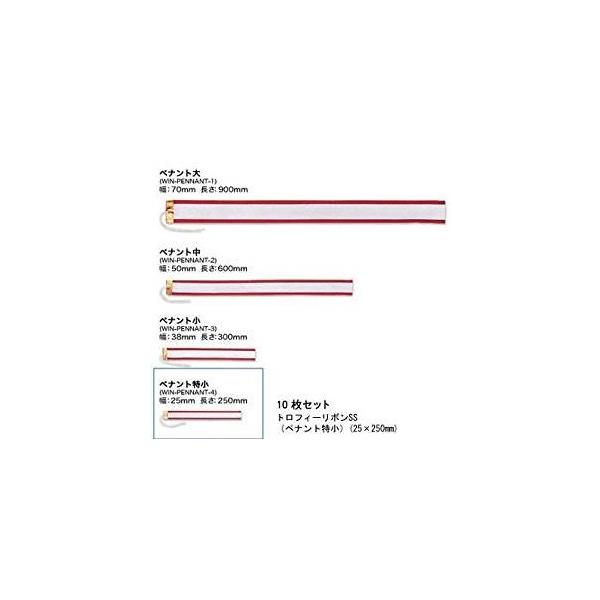 トロフィーリボン ペナント特小 (25*250mm)10枚入です。材質：レーヨン100％トロフィーリボン ペナント のみの販売です。優勝者の名前を書いてトロフィー、優勝カップに付けて下さい。ペナントの文字入れは受け賜っておりません。お客様で...