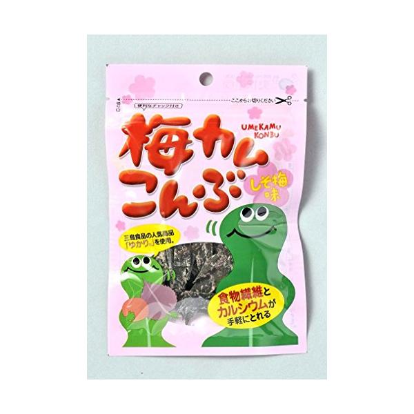 内容量:10g*12袋カロリー:1袋10g当たりエネルギー26kcal原材料:昆布、乳糖(乳を含む)、醸造調味料、梅酢、かつお節エキス、食塩、赤しそ、たん白加水分解物、水溶性食物繊維、酵母エキス、梅肉パウダー、水あめ、デーツ濃縮果汁、でん粉...