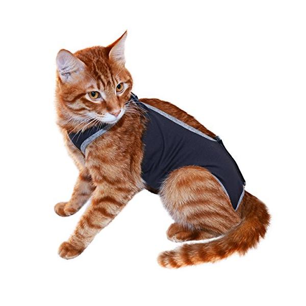 本体サイズ (幅X奥行X高さ) :11.0*1.0*16.0cm本体重量:32.0gペット用品:猫:ヘルスケア:術後ウェア