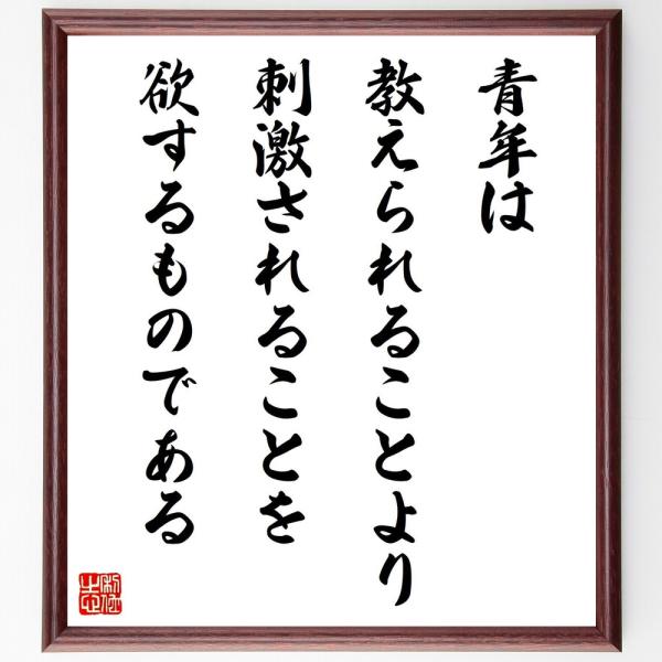 ヨハン・ヴォルフガング・フォン・ゲーテの名言「青年は教えられることより、刺激されることを欲するものである」直筆書道色紙額／受注後直筆