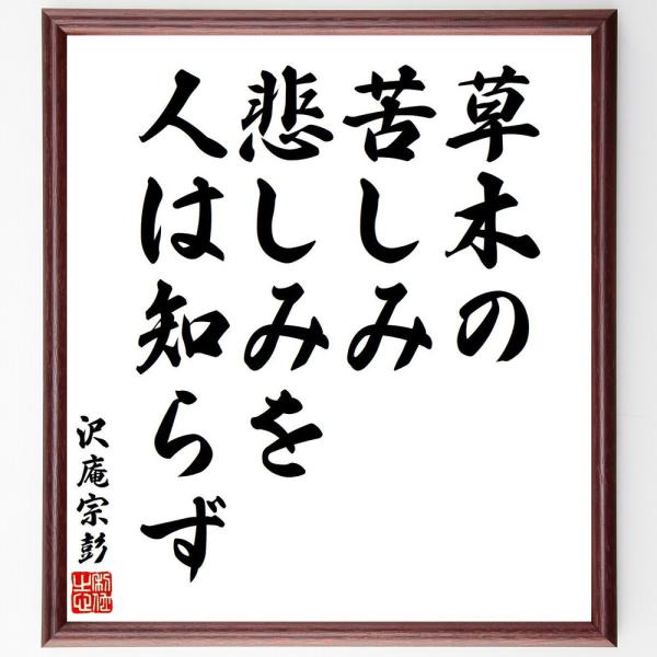 沢庵宗彭の名言「草木の苦しみ悲しみを、人は知らず」直筆書道色紙額／受注後直筆