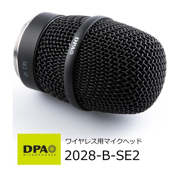 Microphone dpaマイク DPA 4098-DC-D-B01-045 グースネック・マイクロホン