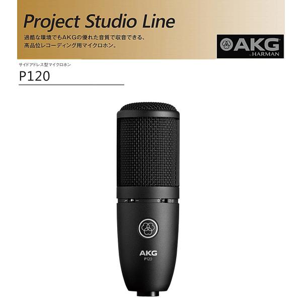 AKG レコーディング用コンデンサーマイクロホン P120 : RIZING