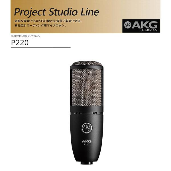 akg p220の人気商品・通販・価格比較 - 価格.com