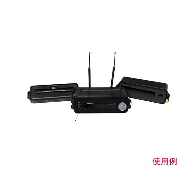 SHURE BY GATOR�@�V���O�����C�����X�}�C�N�V�X�e���pATA�P�[�X�@SH-WSYS-CASE ���i�摜2