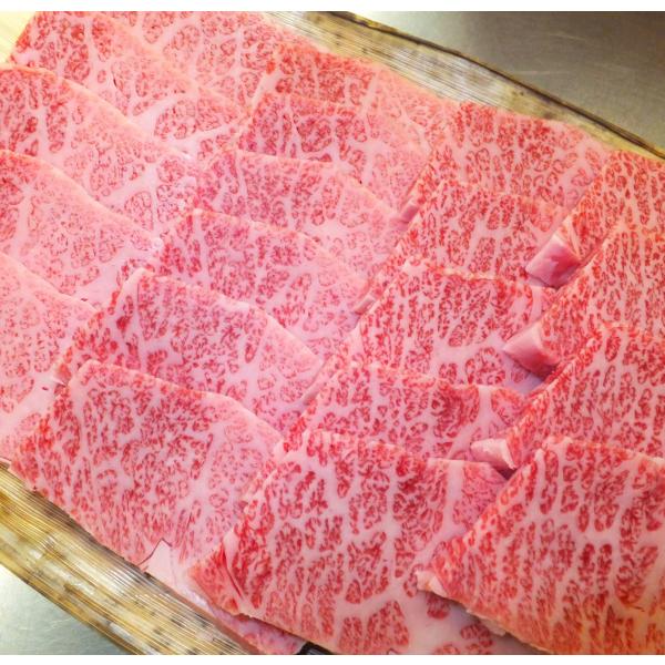 越後牛三角バラ焼肉ギフト８００g 送料無料 Buyee 日本代购平台 产品购物网站大全 Buyee一站式代购bot Online