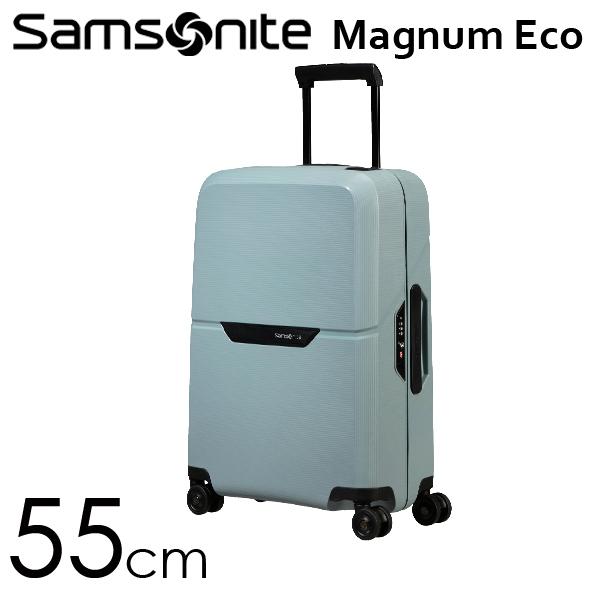 サムソナイト　マグナムエコスピナー　スーツケース　TSAロック　大容量　軽量 楽天市場】Samsonite スーツケース Magnum Eco Spinner マグナム